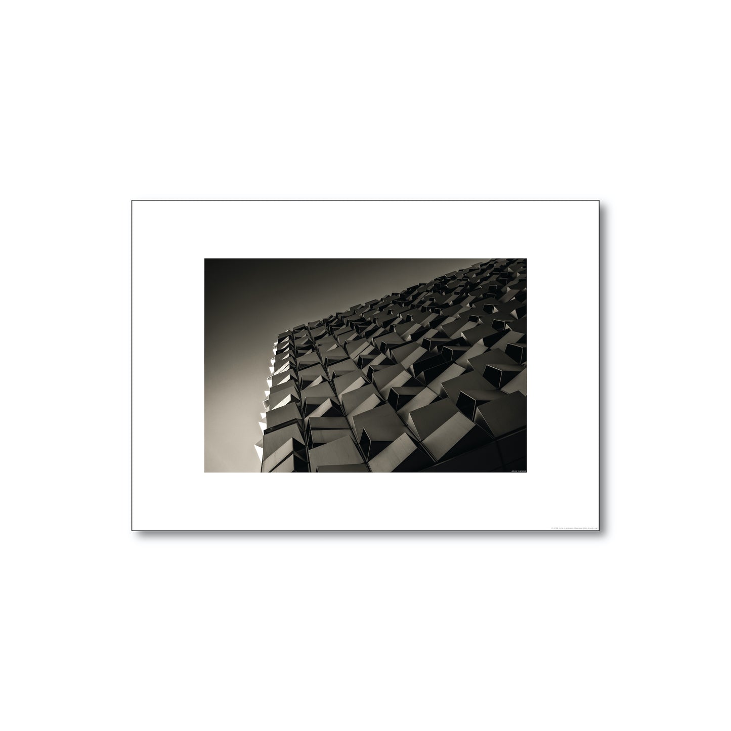Cheese Grater