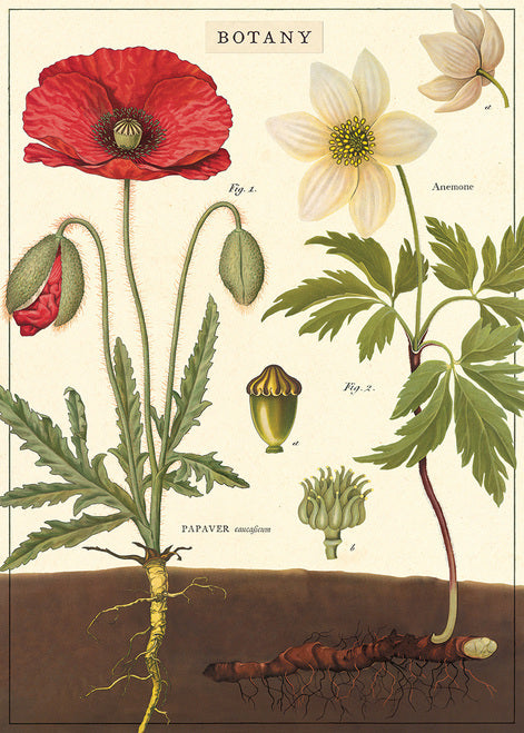 Decorative Wrap Botany - With Dry Mount