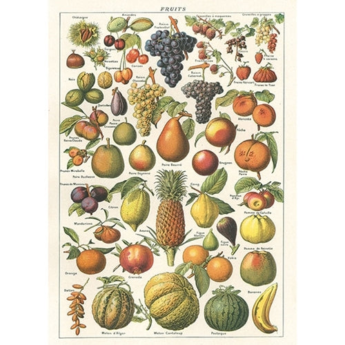 Cavallini Decorative Paper - Fruit