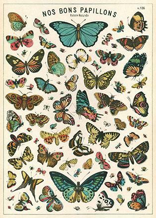 Cavallini & Co. French Butterfly Chart