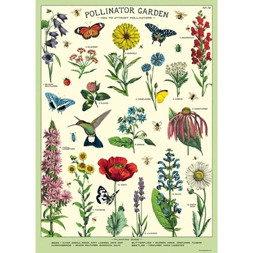 Cavallini Decorative Paper - Pollinators